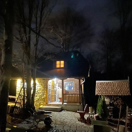 Brvnara Iverak Mokra Gora Esterno foto