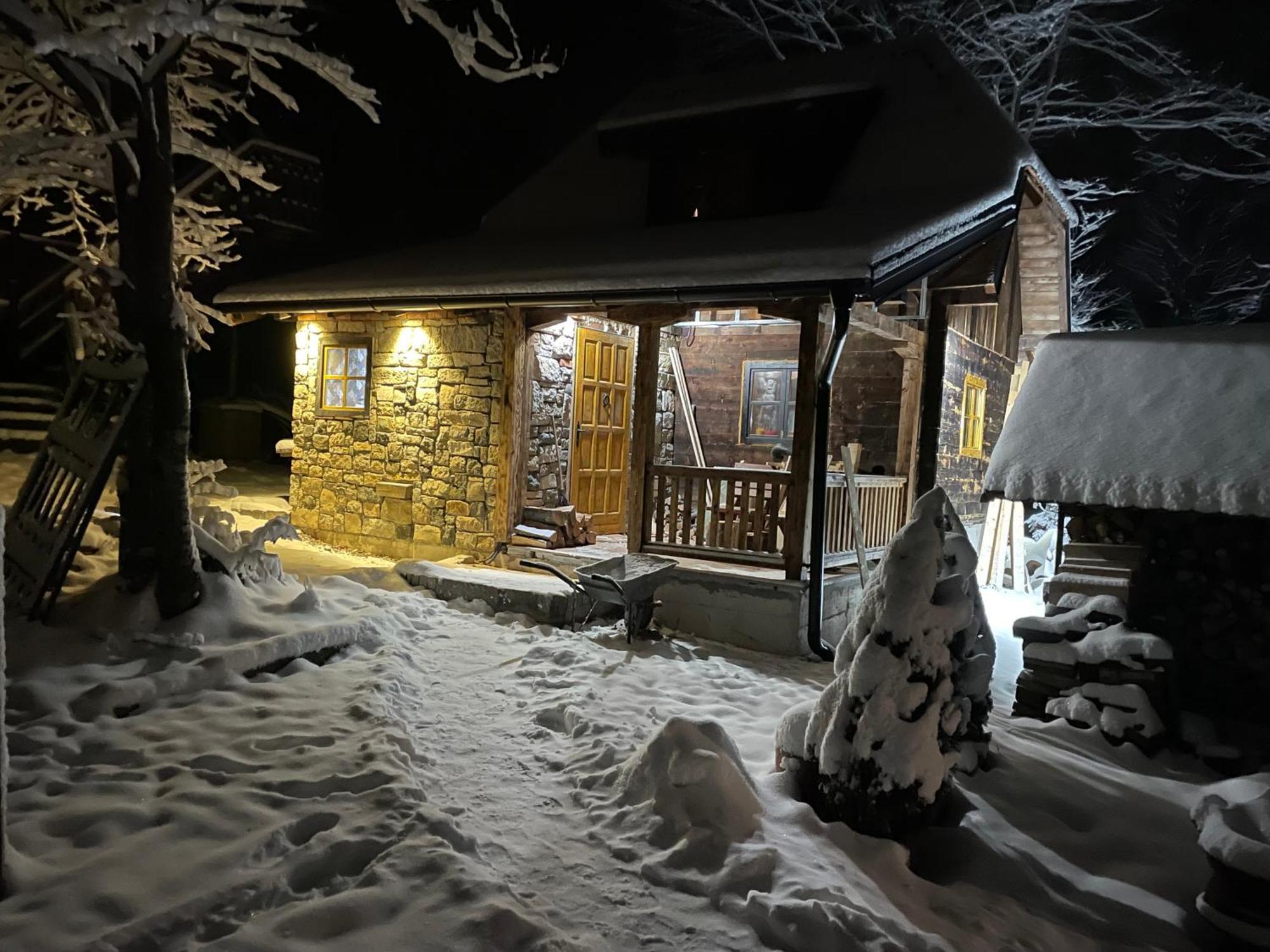 Brvnara Iverak Mokra Gora Esterno foto