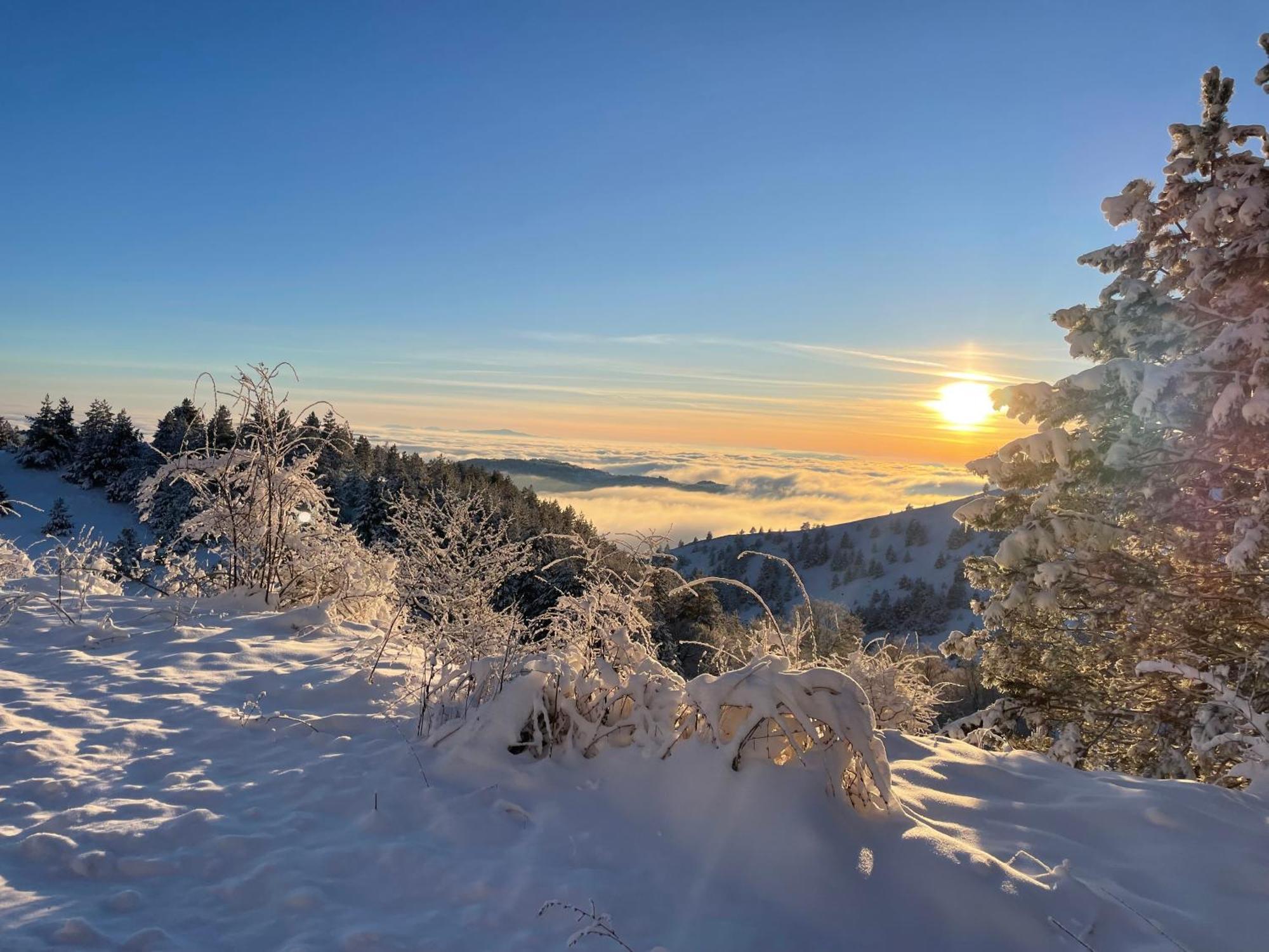 Brvnara Iverak Mokra Gora Esterno foto